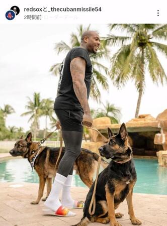 　チャップマンと愛犬たち。レッドソックスの球団公式インスタグラム（ｒｅｄｓｏｘ）より