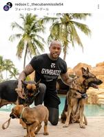 　チャップマンと愛犬たち。レッドソックスの球団公式インスタグラム（ｒｅｄｓｏｘ）より