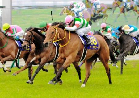 　桜花賞馬のハープスター（中央）は、昨年の凱旋門賞で６着に終わった＝阪神競馬場