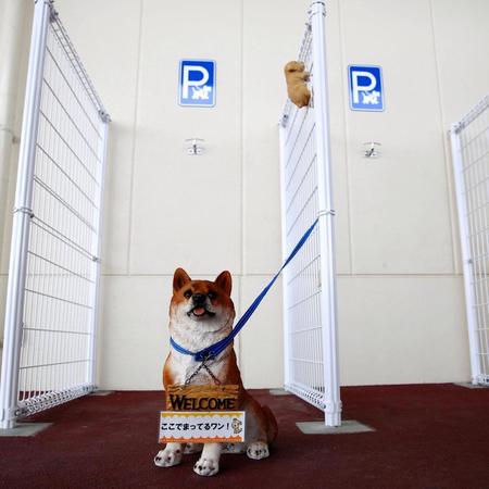 宮崎県のスーパーに登場した「駐犬場」。本物そっくりの犬が目印
