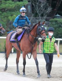 菊花賞で下克上Vを狙うアリーヴォ