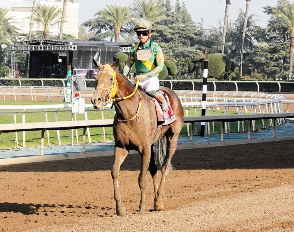 　ＢＣクラシックで５着に終わり、引き揚げるウシュバテソーロ