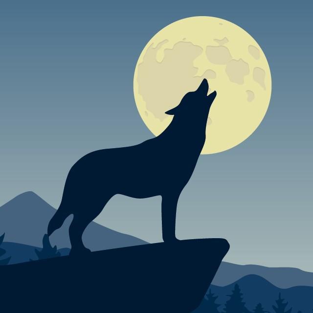 満月の夜に犬が凶暴になる…なんてことがあるのでしょうか（krissikunterbunt/stock.adobe.com）