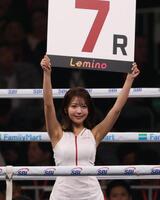 ラウンドガールを務める佐々木萌香（撮影・佐々木彰尚）