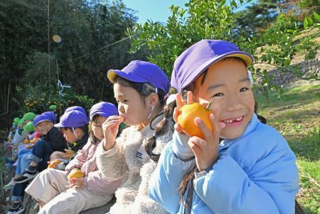 　福島県広野町で、ミカン狩りを楽しんだ認定こども園の園児＝１９日午前