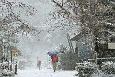 　初冠雪が観測された金剛山の山頂付近＝５日午前、奈良県御所市