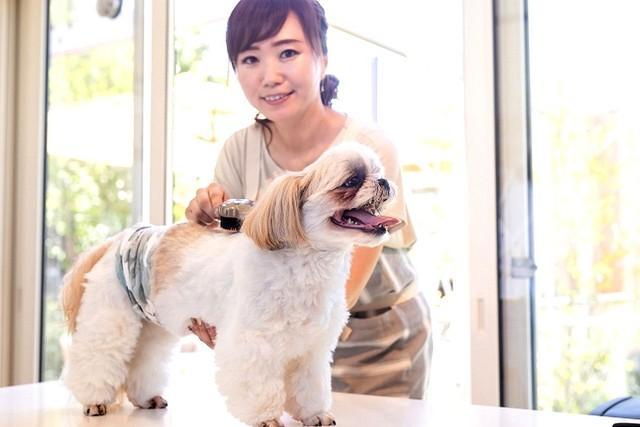 犬の美容師「トリマー」…海外では「グルーマー」と呼ばれる