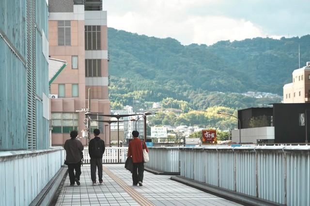 【ビフォー写真】いい写真撮れた！ジャケットに使いたいけど…すき家が…（ゴリラ祭ーズ提供）