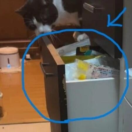 引き出しをどんどん開けていきます（大山 しるこさん提供、Instagramよりキャプチャ撮影、一部トリミング）