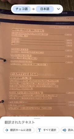 チェコ語のメニューに翻訳アプリを使用した結果、表示されたのは「家庭内溺死事件」！？／大久保光さん（@hikari_No78）提供