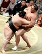 　千代鳳が寄り切りで旭天鵬を破る＝両国国技館（共同）