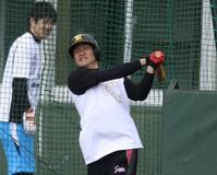フリー打撃で大和はサク越えを連発(撮影・山口 登)