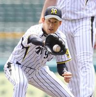 ノックを受ける能見(撮影・棚橋慶太)