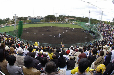 　来年２月、阪神の春季キャンプが行われる宜野座球場