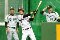 藤浪はフリー打撃で野手顔負けの大飛球を放つ。後ろで見るオマリー打撃コーチ補佐も驚く!?(撮影・田中太一)