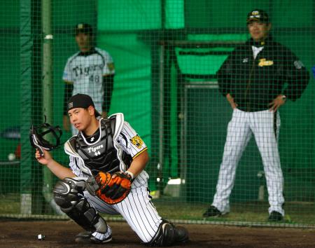 　和田監督（右）の視線を背にブルペンで投球を受ける梅野