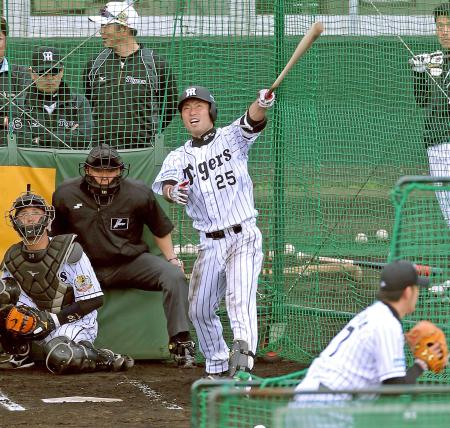 　和田監督（左奥）が見る中、岩貞（手前）から力強い打球を飛ばす江越