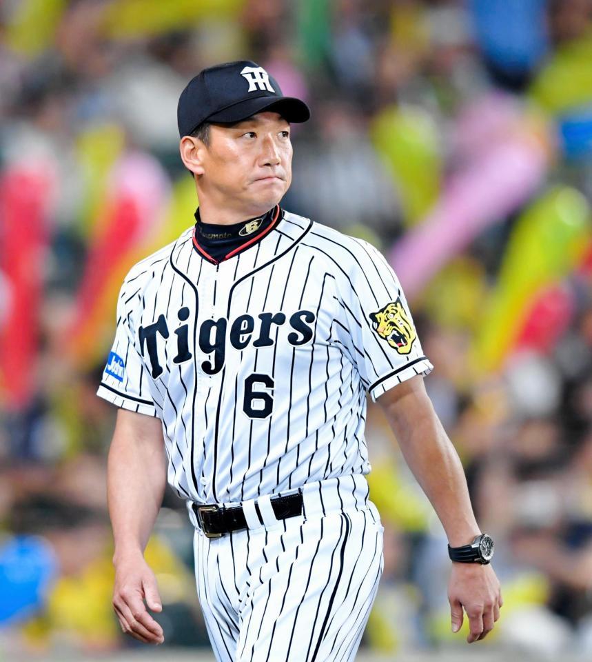 　阪神は来季の新外国人獲りで韓国プロ野球界に熱視線を注ぐ