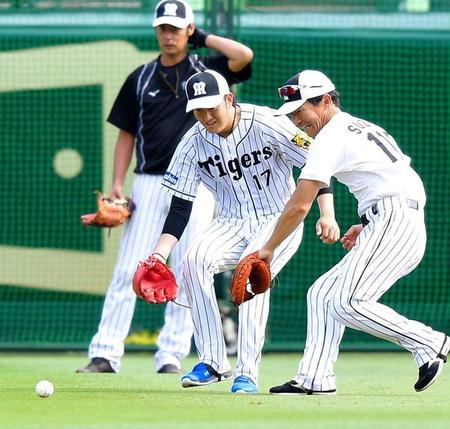 　打撃練習のボールを、競うように捕球に行く阪神・岩貞（中央）＝甲子園