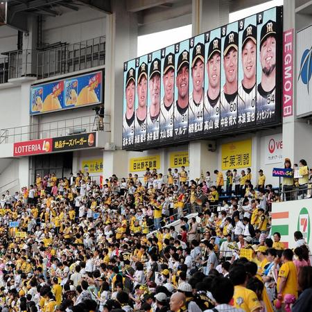 阪神のスタメンと左翼スタンドの阪神ファン