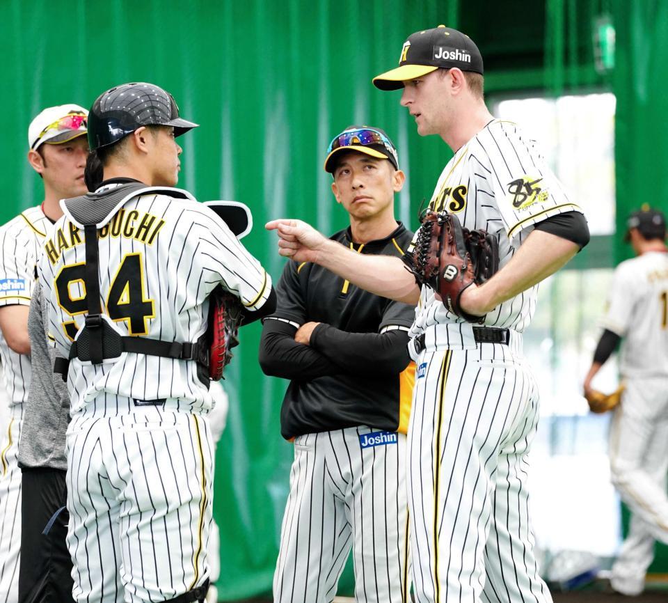 　投球を終え、矢野監督（右から２人目）らと話をするガンケル