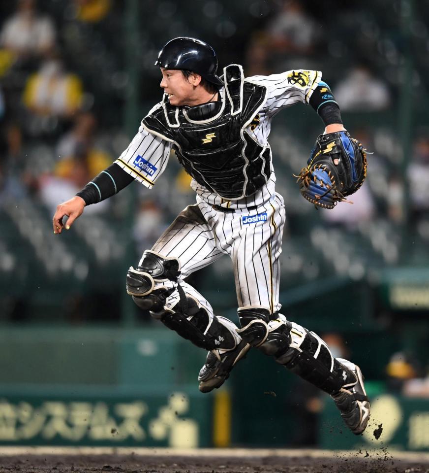 野球バカ imgrc0106806543.jpg