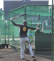 　フリー打撃前にスイングの感触を確かめる佐藤輝（８）＝撮影・高部洋祐