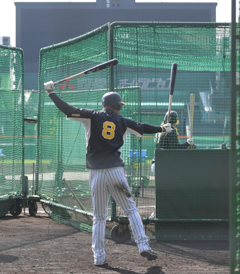 　フリー打撃前にスイングの感触を確かめる佐藤輝（８）＝撮影・高部洋祐