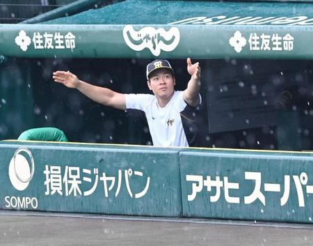 練習前に激しく降る雨にベンチで雨宿りする佐藤輝（左）ら＝甲子園（撮影・飯室逸平）