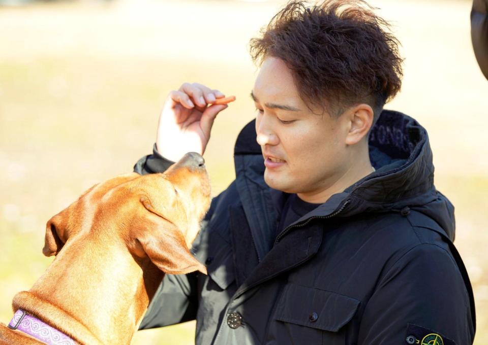 「アニマルレフュージ関西」を訪問し保護犬と触れ合う秋山（球団提供）