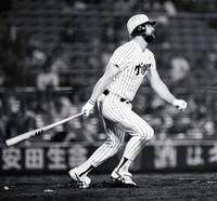 　１９８６年１０月１４日　阪神対大洋２６　張本の記録を破り最高打率決定の阪神　ランディ・バース＝甲子園