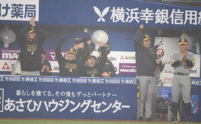 　２４日のＤｅＮＡ戦、木浪が適時打を放ちベンチで喜ぶ近本（右から２人目）ら阪神ナイン
