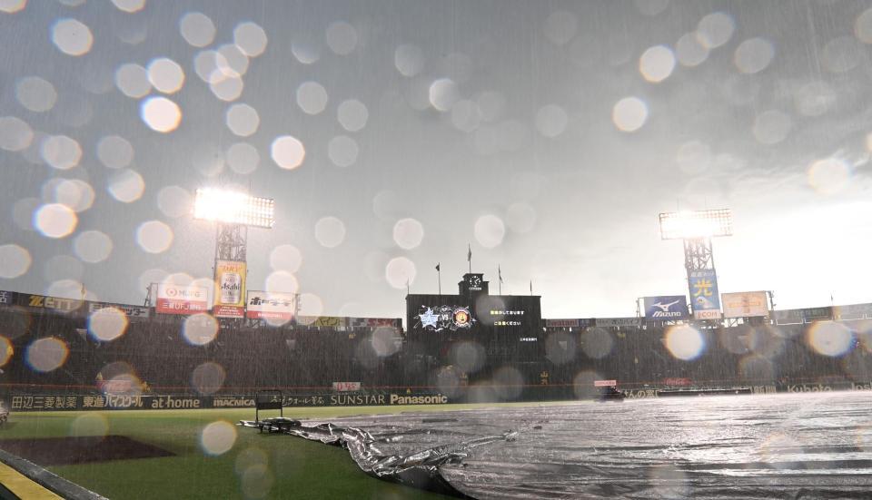 　雨が降り注ぐ甲子園（撮影・田中太一）