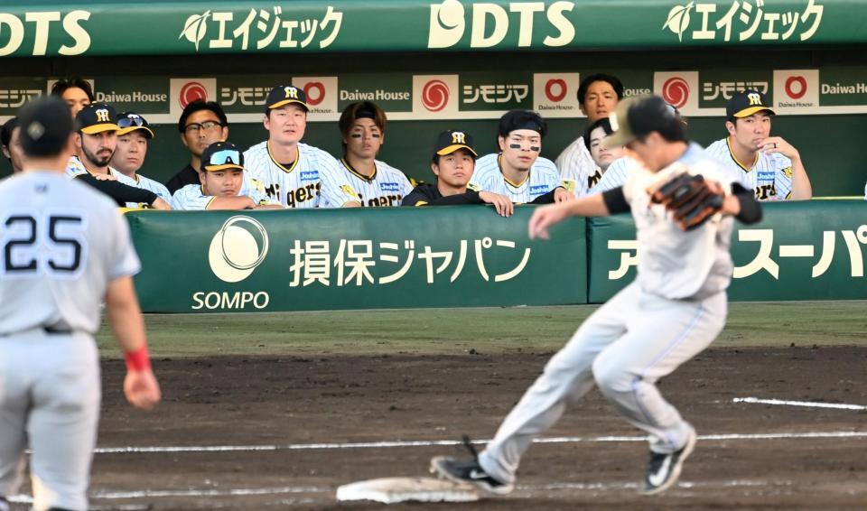 　９回、ベンチから戦況を見つめる阪神ナイン（撮影・飯室逸平）