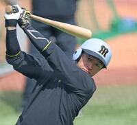 　打撃練習をする近本（撮影・中田匡峻）