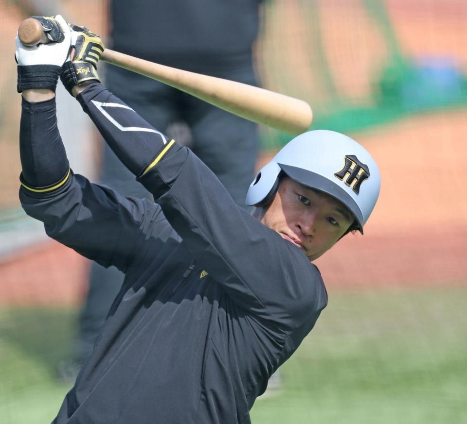 　打撃練習をする近本（撮影・中田匡峻）