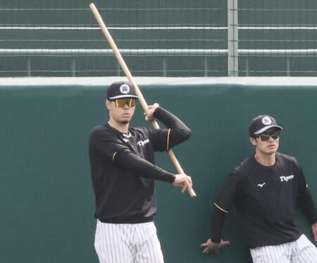 　ウオーミングアップをする佐藤輝（撮影・田中太一）