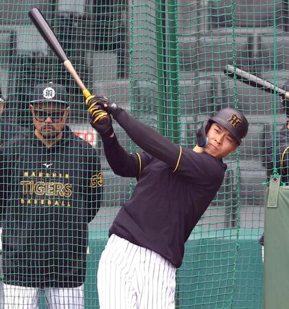 　打撃練習する佐藤輝（撮影・山口登）