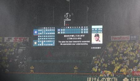 　３回途中、降雨のため試合が中断する阪神甲子園球場（撮影・北村雅宏）