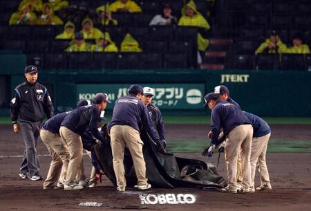 　試合再開に向けシートをめくる（撮影・山口登）