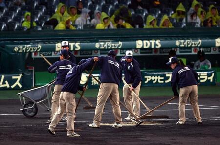 　試合再開に向けグラウンド整備する阪神園芸の関係者（撮影・山口登）