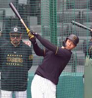 　打撃練習する佐藤輝（撮影・山口登）