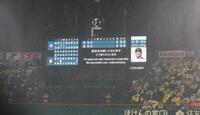 　３回途中、降雨のため試合が中断する阪神甲子園球場（撮影・北村雅宏）