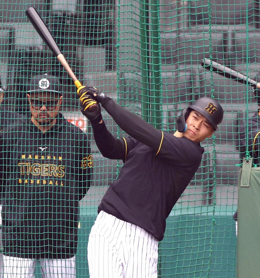 　打撃練習する佐藤輝（撮影・山口登）