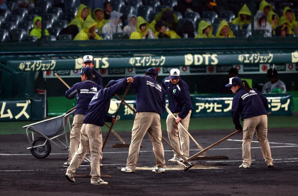 　試合再開に向けグラウンド整備する阪神園芸の関係者（撮影・山口登）