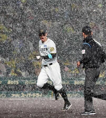 　３回、１度はグラウンドに出るが、再び豪雨となり慌ててベンチに戻る佐藤輝（撮影・北村雅宏）