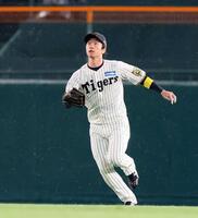 　２回、山田の放った飛球に対して、グラブを上げたものの、一端下げる近本（撮影・北村雅宏）