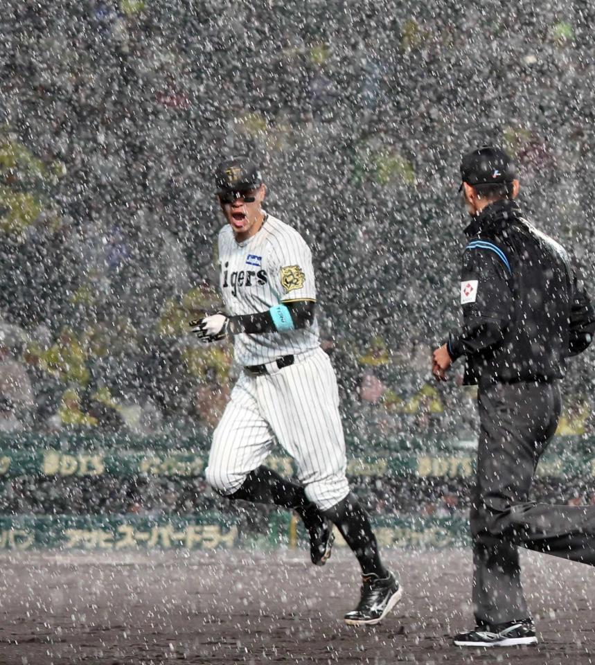 　３回、１度はグラウンドに出るが、再び豪雨となり慌ててベンチに戻る佐藤輝（撮影・北村雅宏）