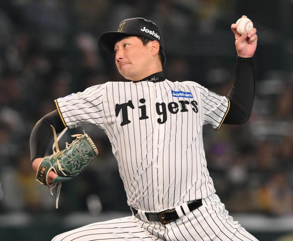 　９回を無失点で締めた岩崎（撮影・西田忠信）