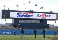 　グラウンドを歩く藤川監督（撮影・中田匡峻）